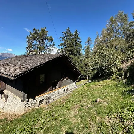 Chalet Praz Fontanettaz - 4 Valleys - Swiss Alps *